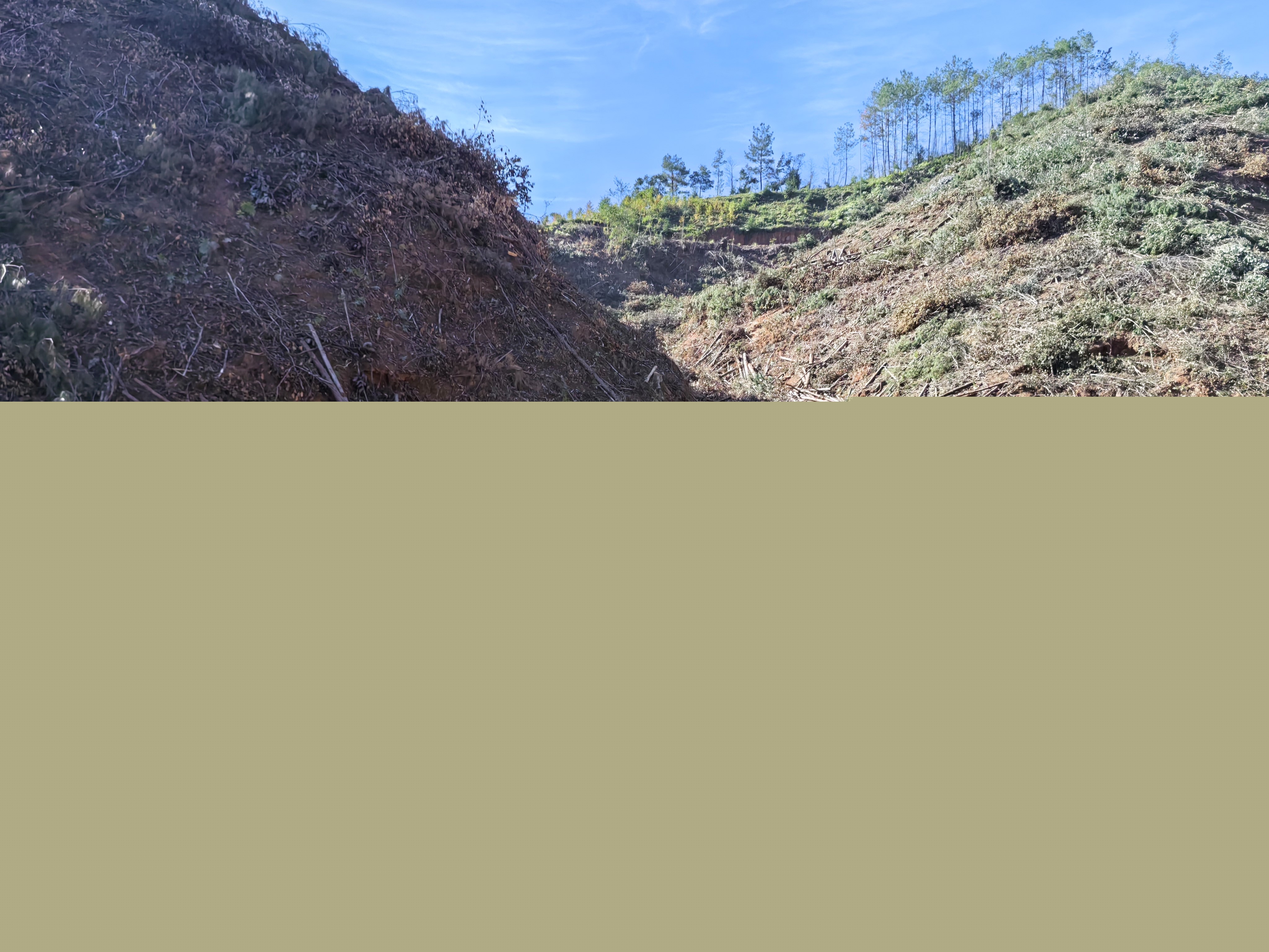 平安常青，我們在行動(dòng)——常青分公司開展安全生產(chǎn)日活動(dòng)