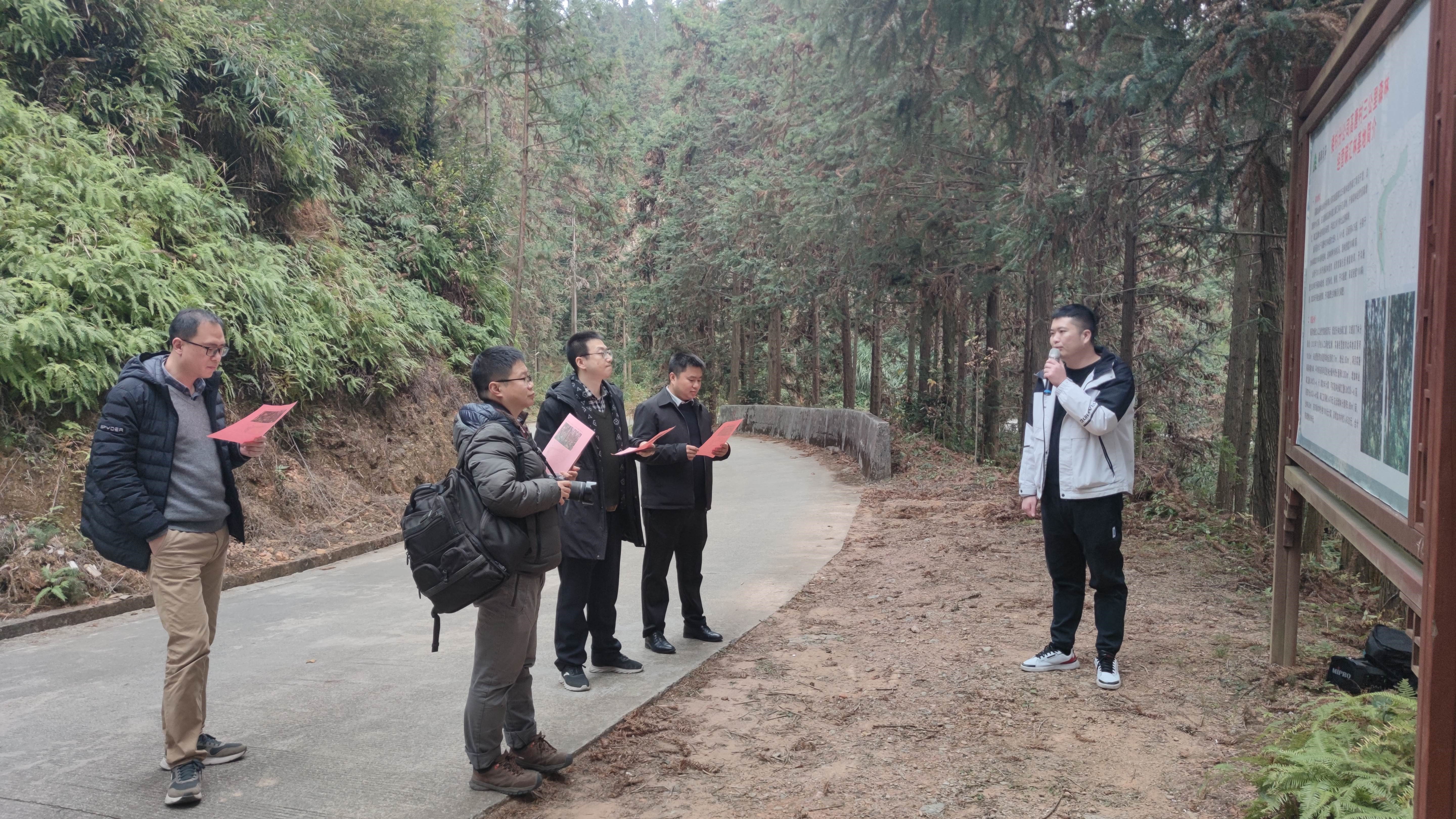 福建金森與上海園林集團(tuán)——強(qiáng)強(qiáng)交流促合作，共繪林改新藍(lán)圖