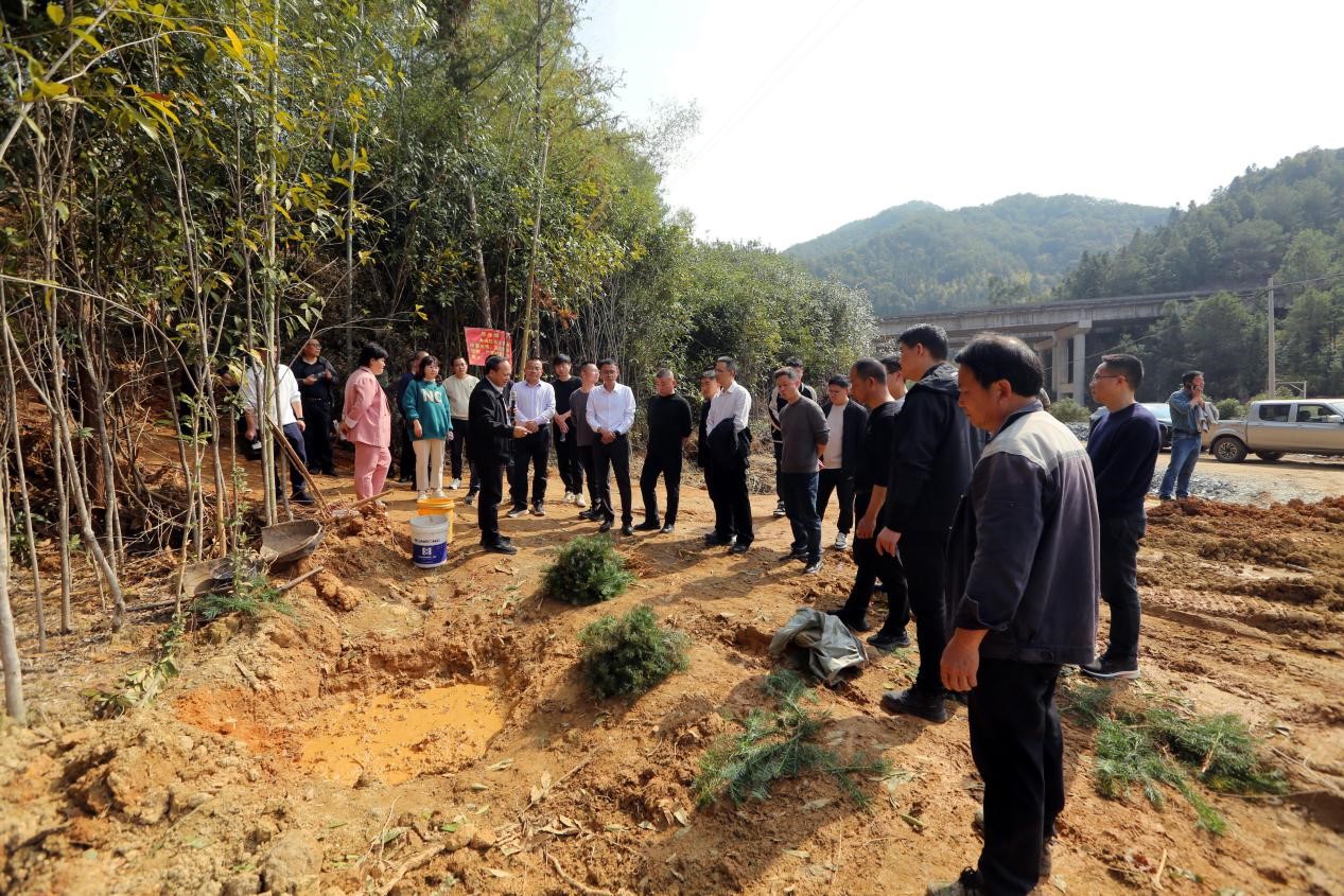 不負(fù)春光好，搶播萬(wàn)畝林 ——將樂(lè)縣村企合作造林工作現(xiàn)場(chǎng)會(huì)在福建金森召開(kāi)