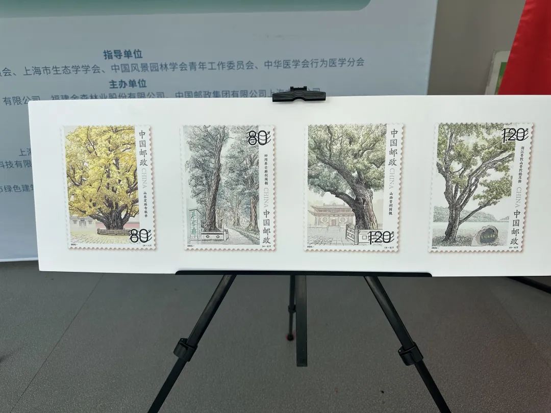 全國(guó)生態(tài)日來(lái)了！福建金森攜手舉辦上?！吧胶Ｍ铡ば雍糜心恪被顒?dòng)